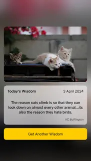 cat wisdom - cat lovers app iphone screenshot 1
