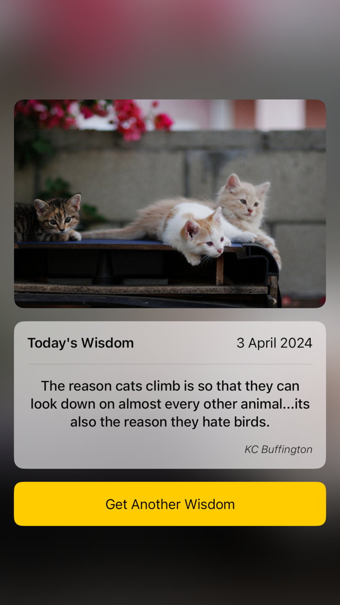 Cat Wisdom - Cat Lovers App