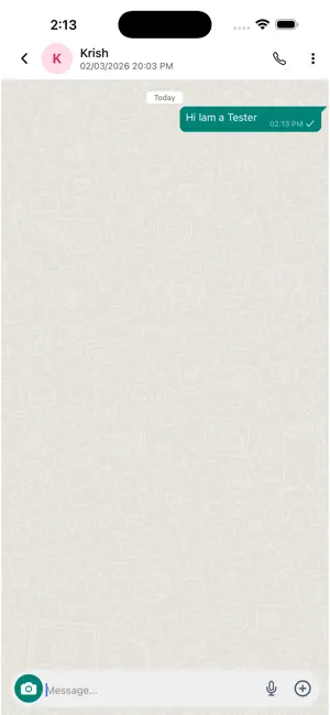 Rayal Chat screenshot 2