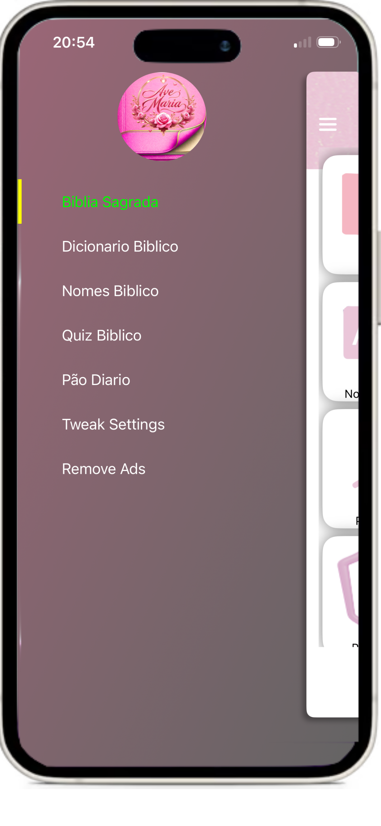 Biblia Católica  - Ave Maria