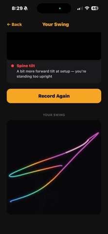 HoneySwing screenshot