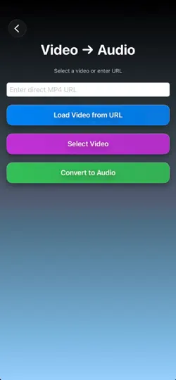 Скриншот Audiovex на iPhone 2