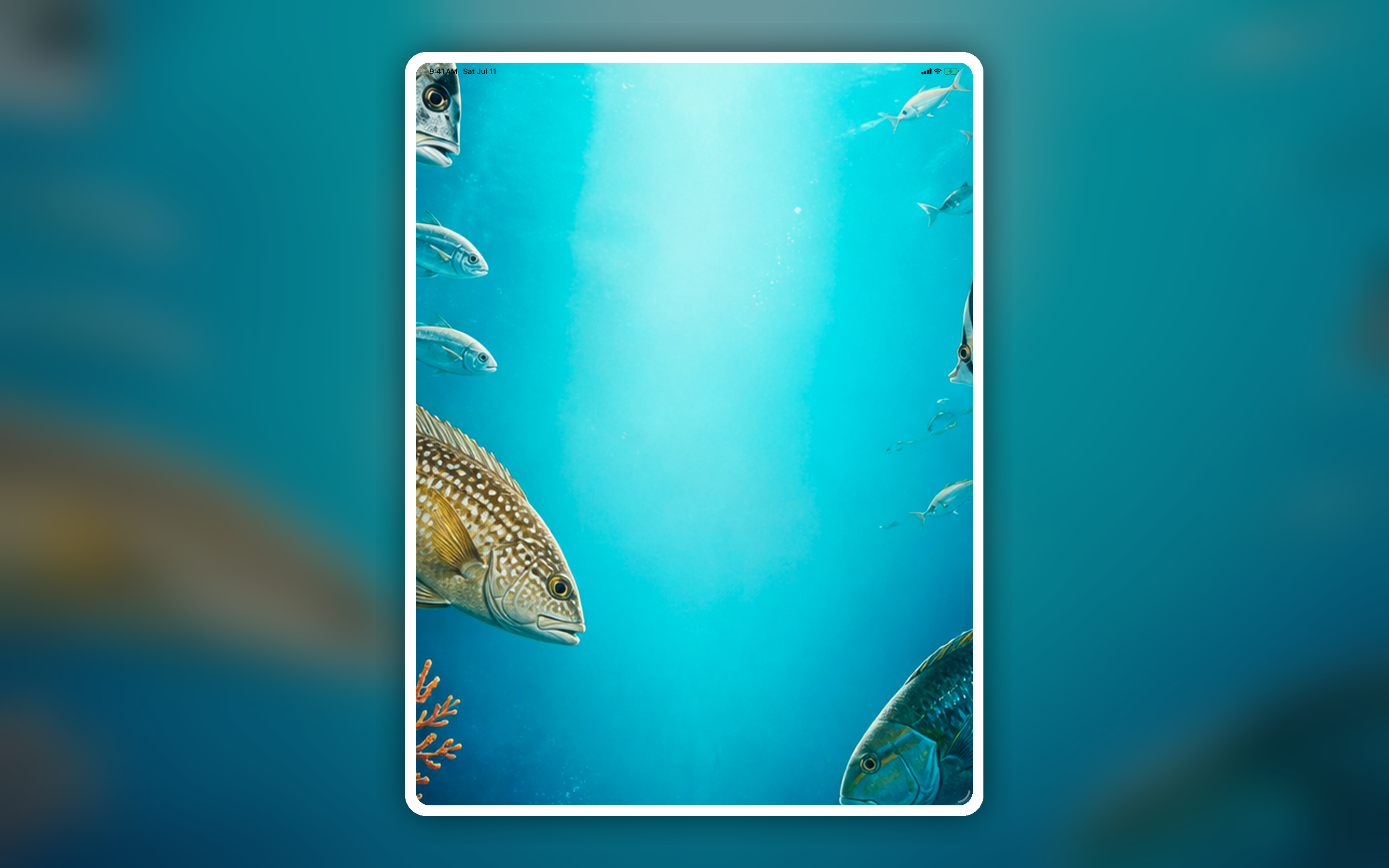 Fish Discover: Snap it screenshot 14