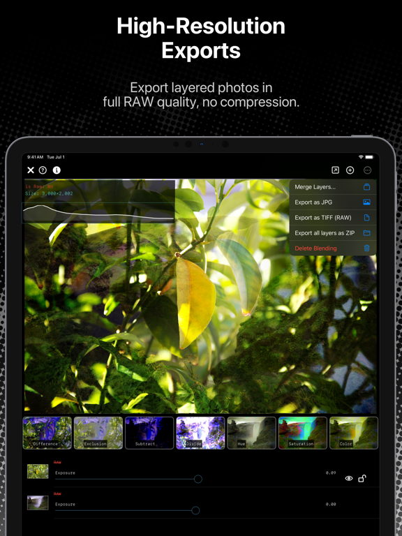 ImageFlux: RAW & MultiExposure iPad screenshot 5 - Photo & Video app