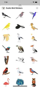 Exotic Bird Stickers screenshot #3 for iPhone