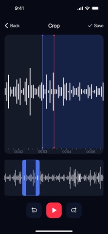 Voice Recorder+ Audio Memos screenshot