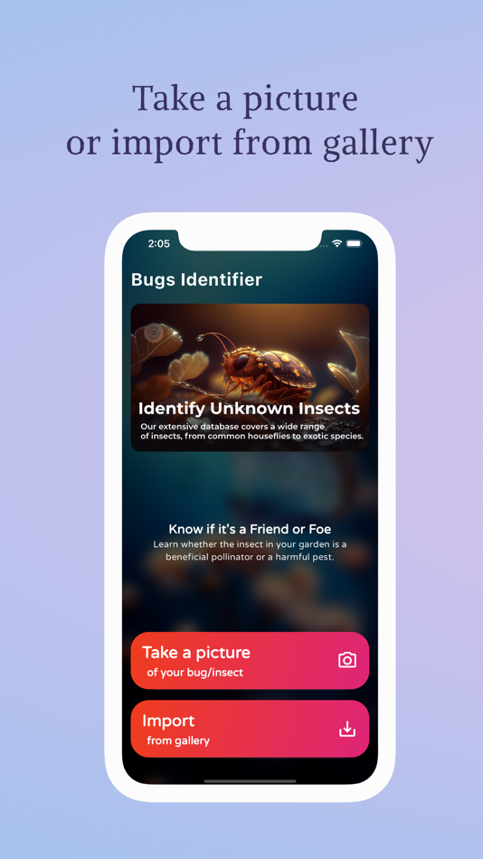 #5. InsectID Identify Bugs&Spiders (iOS) 由: Younes Oubari