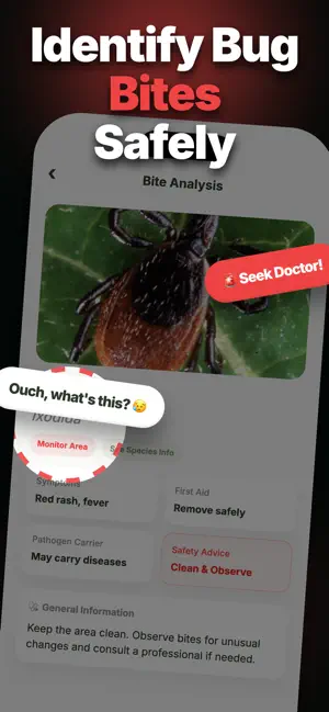 WhatBug: Insect Identifier screenshot 2