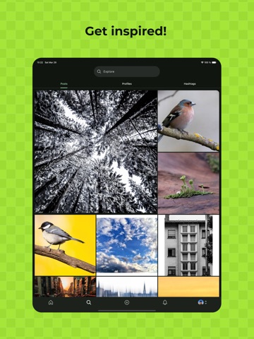 Pixelix - A Pixelfed Client iPad screenshot