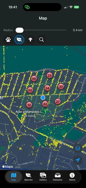 GBIF Nearby screenshot 3