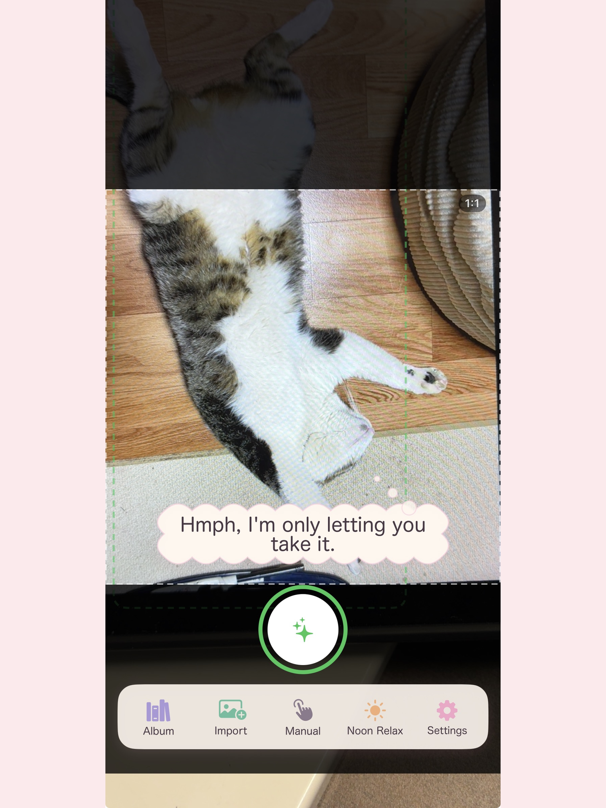 NyankoSnap screenshot 8