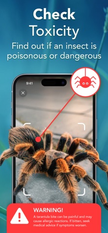 Insect Finder: Bug Identifier Screenshot 3 of 4