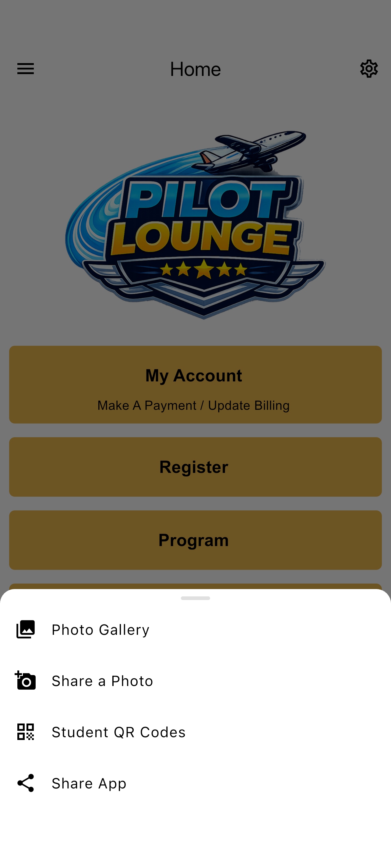 Pilot Lounge Sim screenshot 6