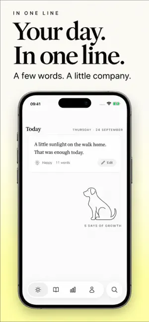 In One Line: Daily Journal screenshot 3