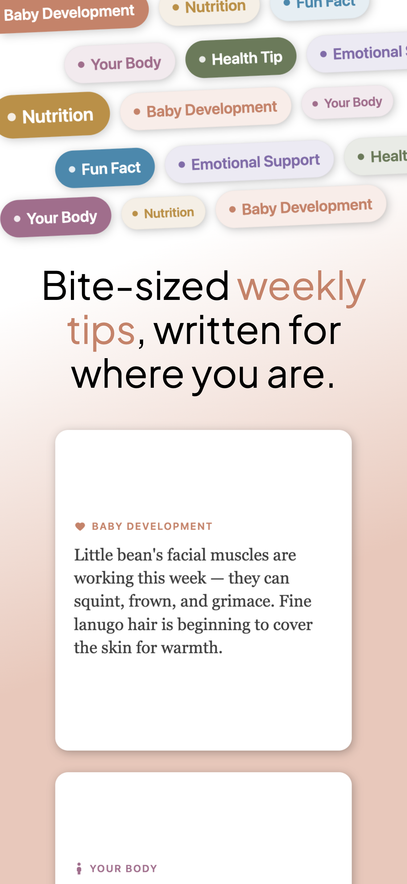 Bump Journey: Weekly Tracker screenshot 5