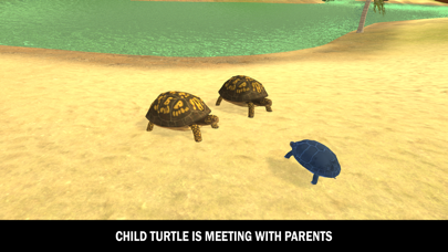 Wild Insect Family Life games Screenshot