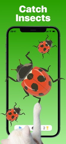 Cat Play: Mouse & Laser iPhone screenshot
