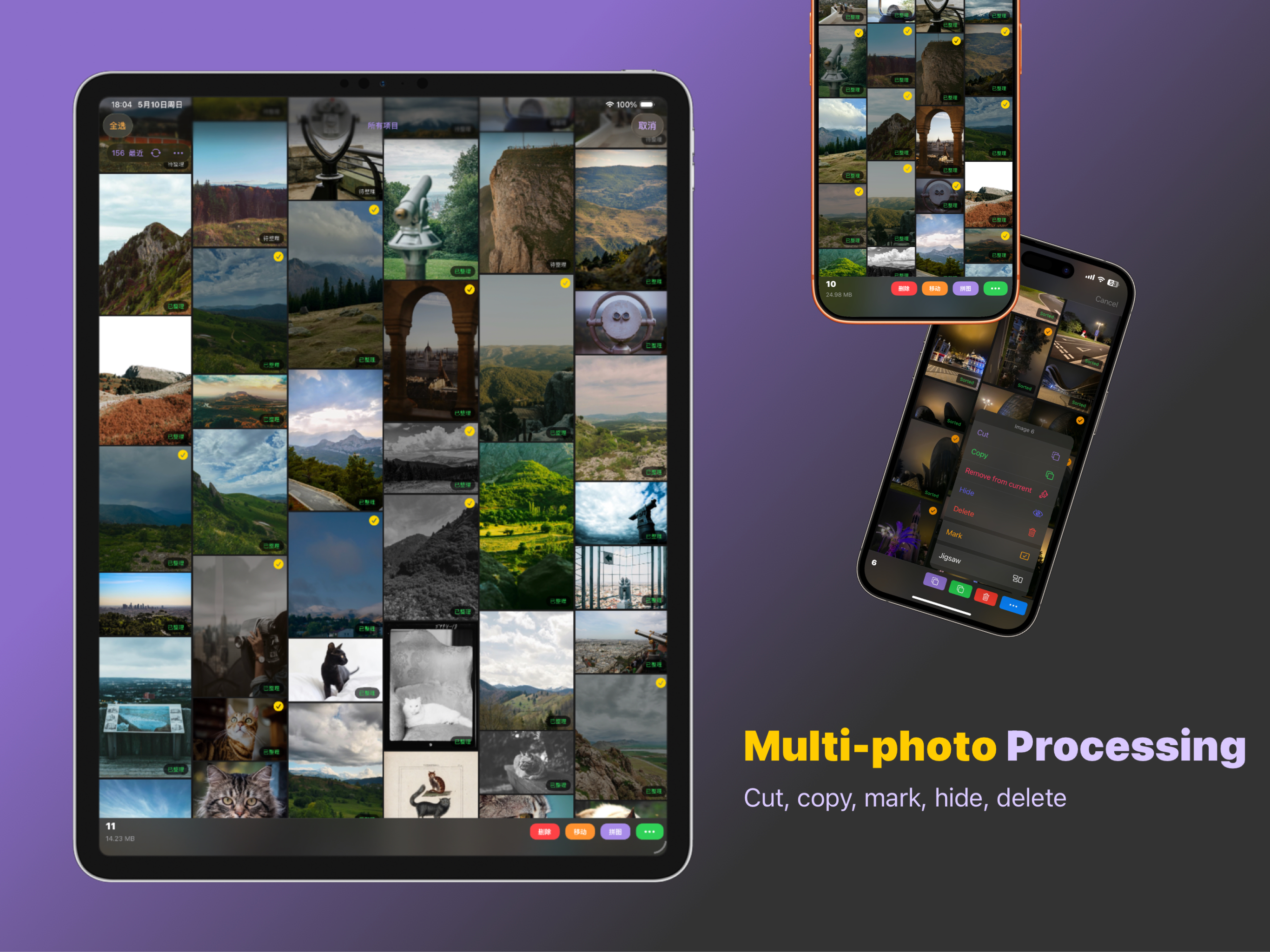 Sorter: Photo Manager Pro screenshot 19