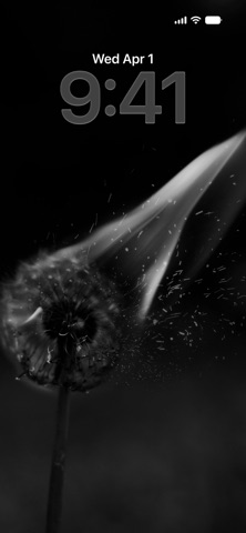 Black Wallpapers in 4K Screenshot 1 of 3