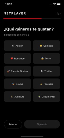 NetPlayer screenshot