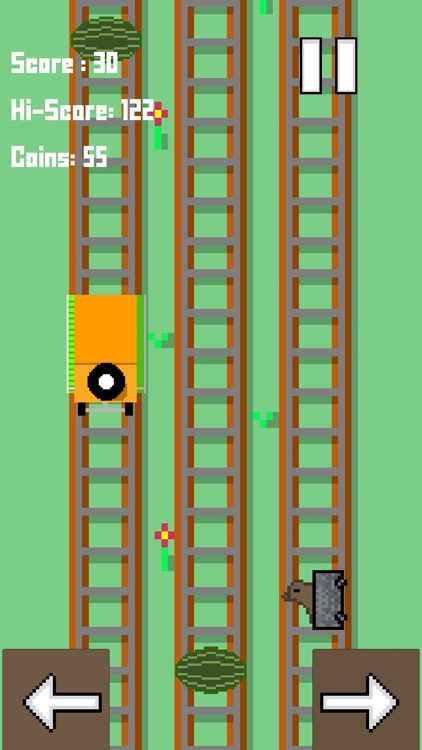 Capybara Pocket Adventure