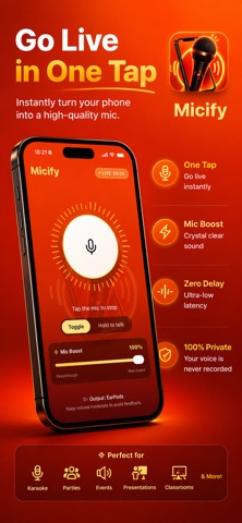 Micify screenshot