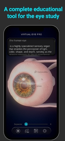 Virtual Eye Pro screenshot