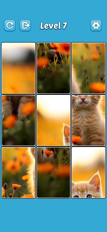 Jigsaw Gallery: Zen Solitaire screenshot 3