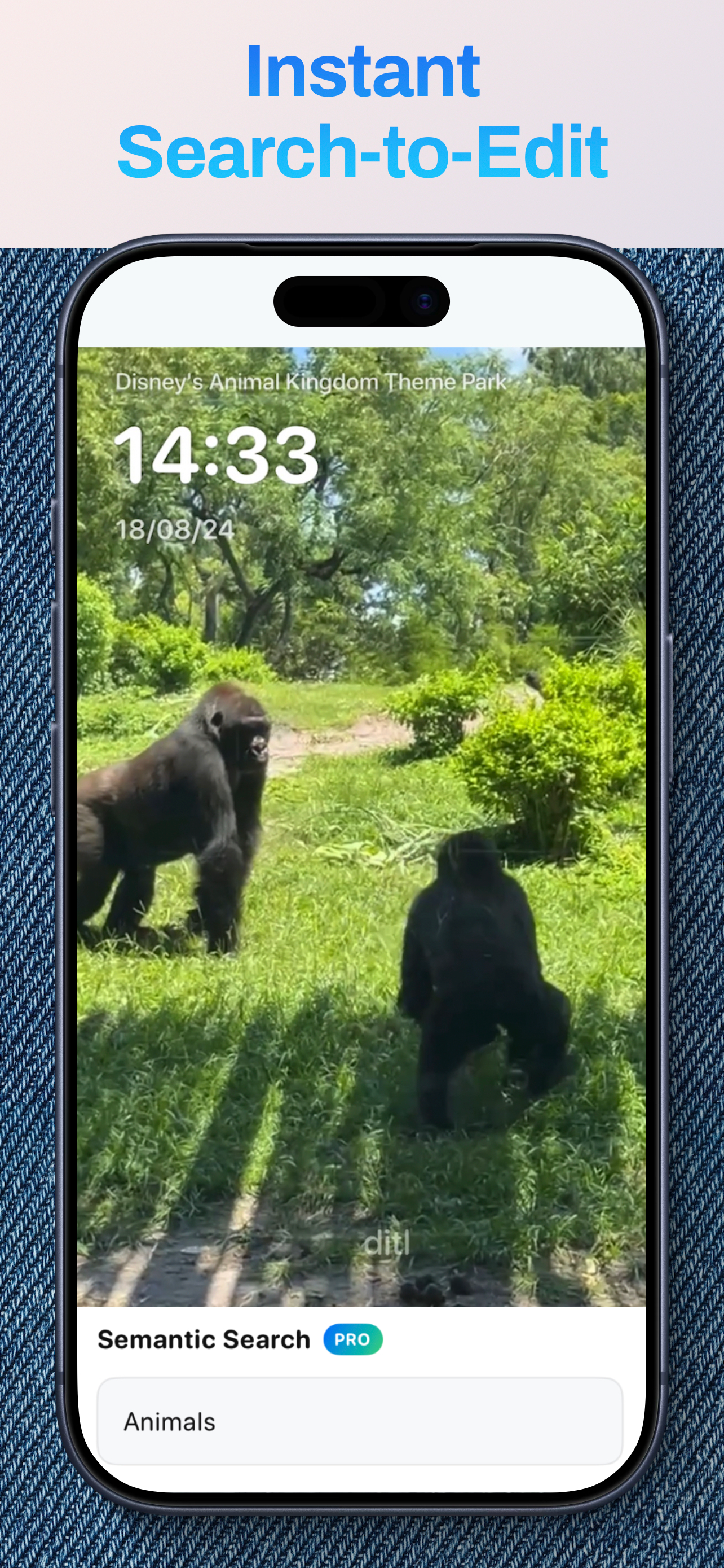 ditl - Auto Video Editor screenshot 2