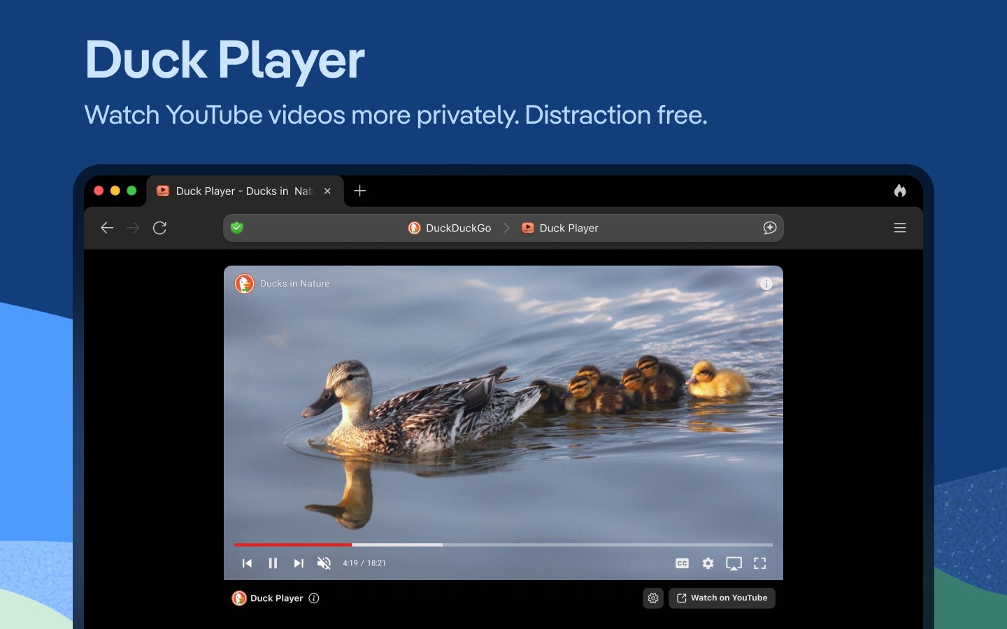 DuckDuckGo Browser, Search, AI 截图 6