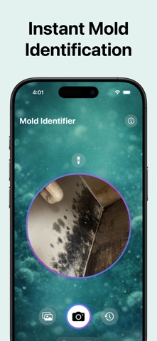 Identifier: Mold Screenshot 2 of 3