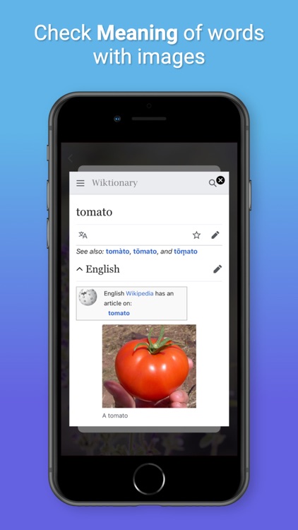 Word Escape Search Joy games screenshot-4