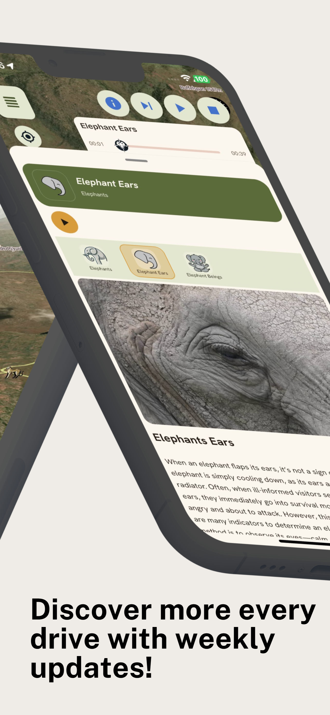 Pilanesberg Discover screenshot 2