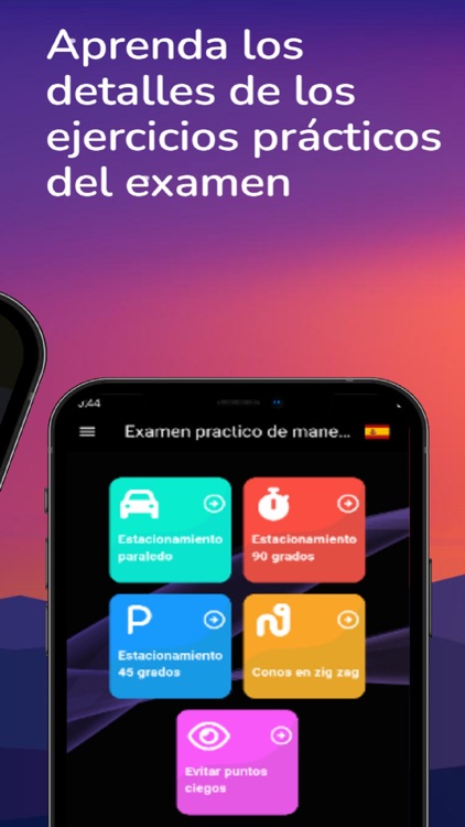 Practical driving test