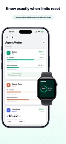 AgentMeter: AI Usage Screenshot 4 of 6