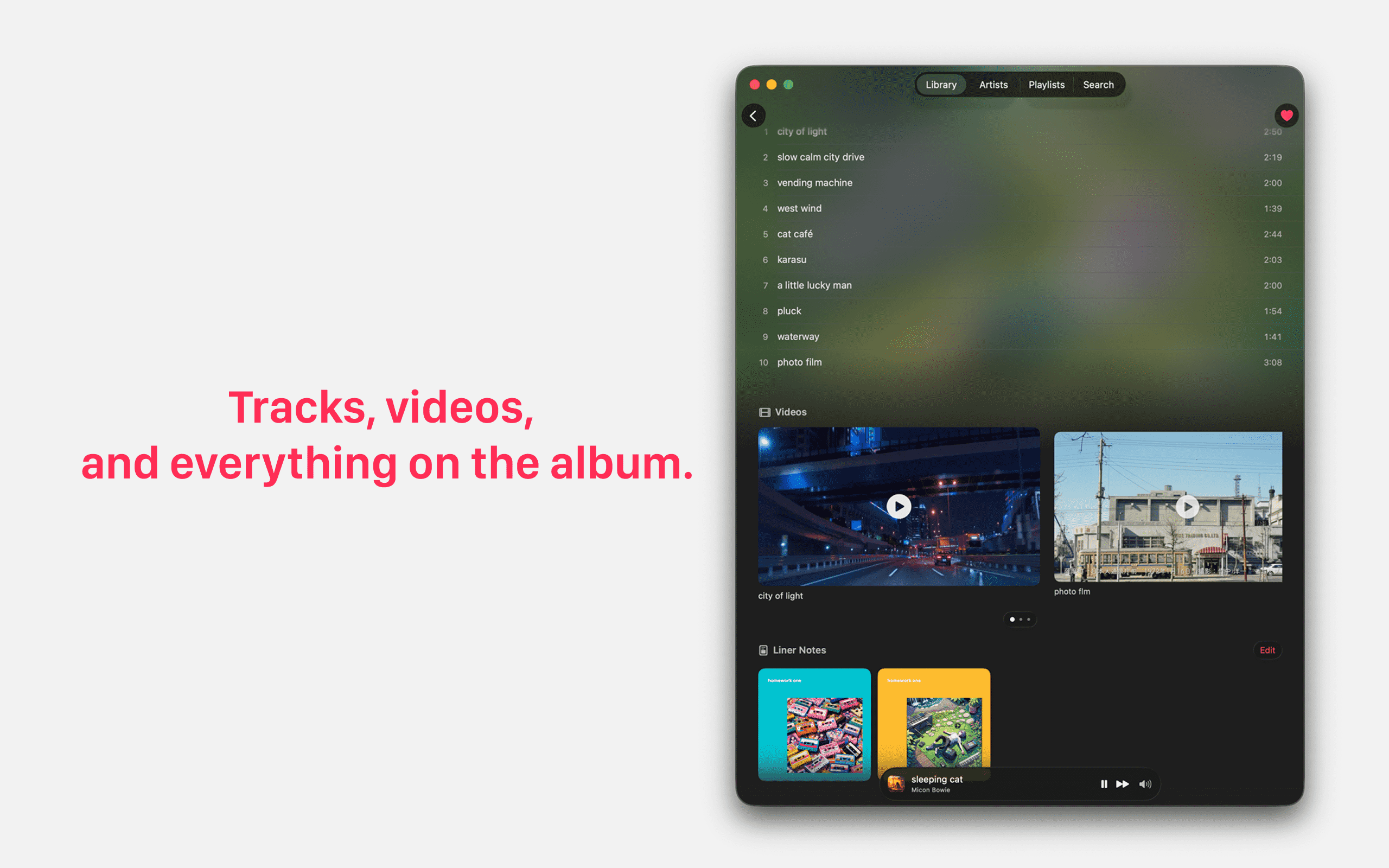 Record Rack: Music Collection screenshot 19