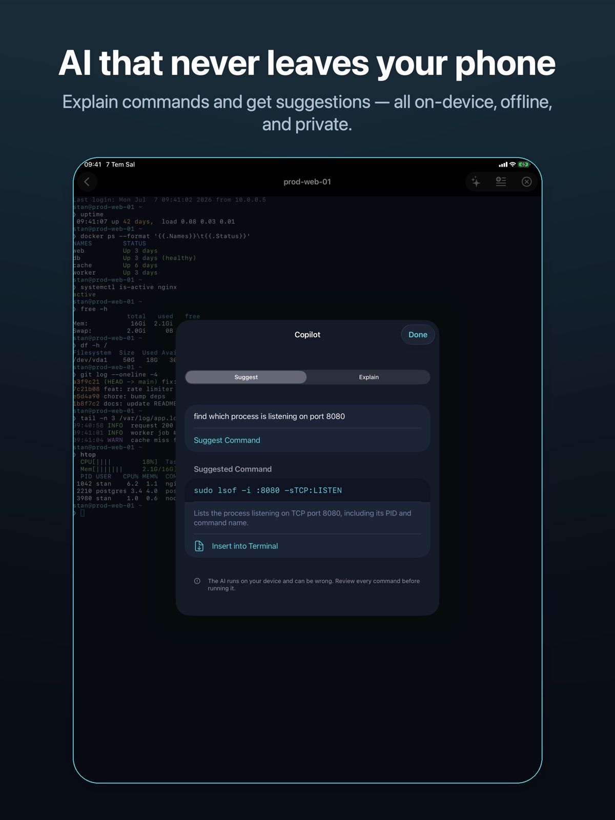 SSH Easy Terminal ipad screenshot 4