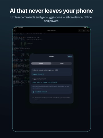 SSH Easy Terminal iPad screenshot