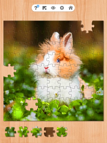 Wonderful Jigsaw - Puzzle Game iPad screenshot