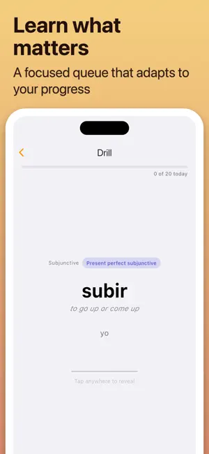 Learn Spanish Conjugations screenshot 2