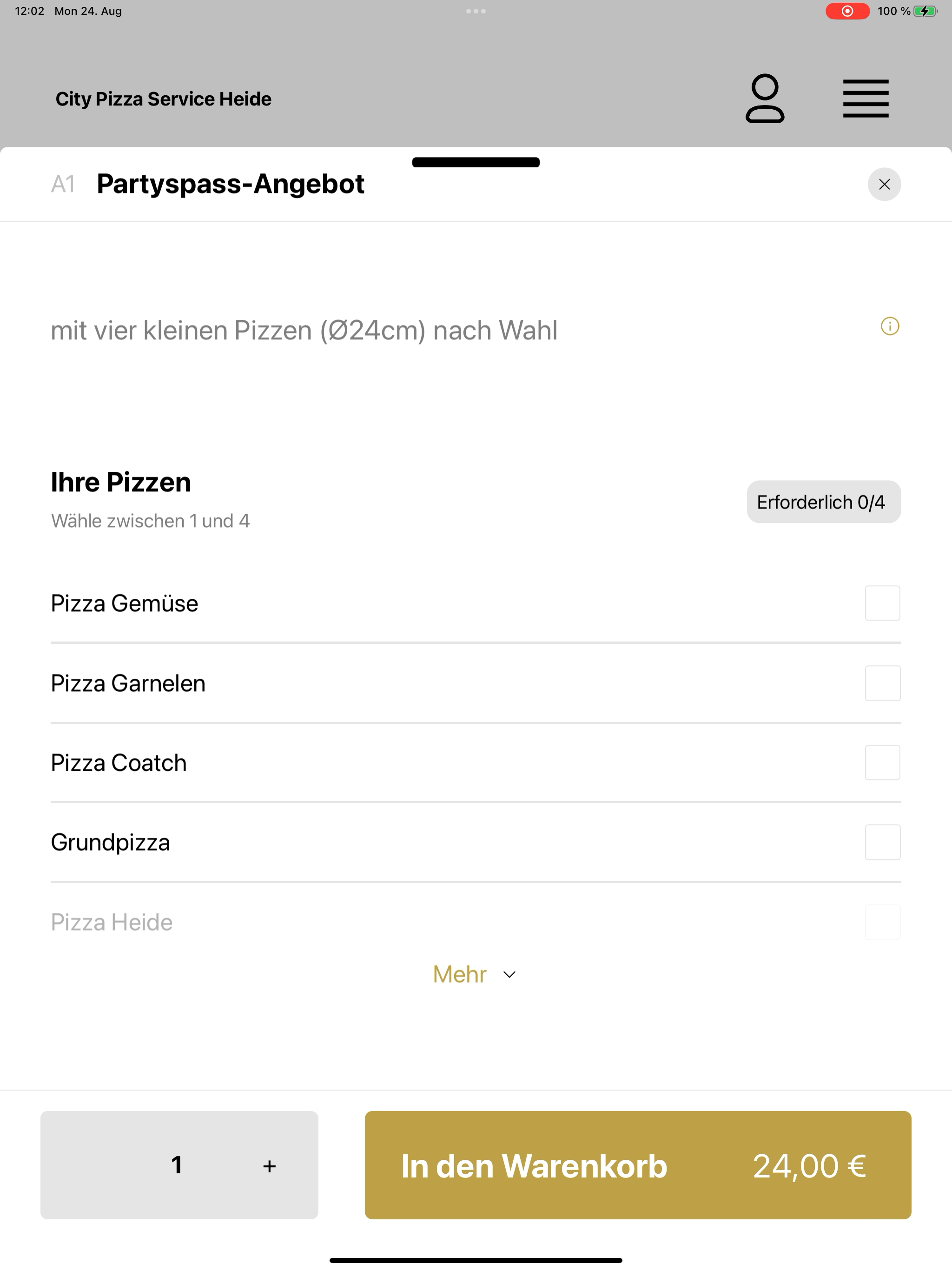 City Pizza Service Heide screenshot 15