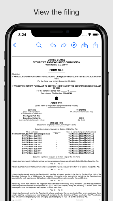 Public Company Filings Screenshot