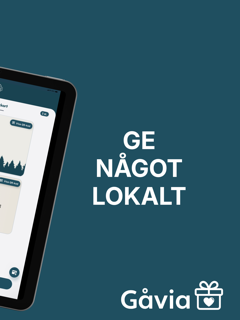 Gåvia screenshot 9