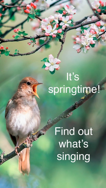 ChirpOMatic Birdsong ID Europe