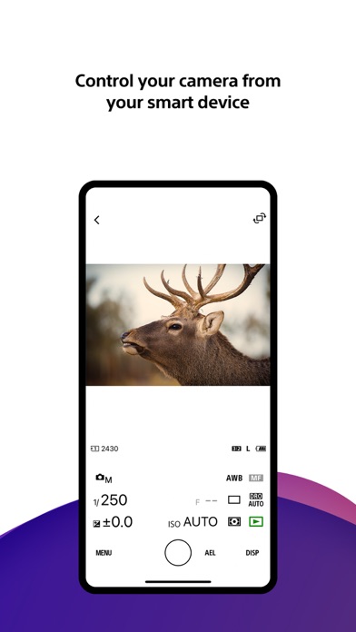 Sony | Creators' App Screenshot