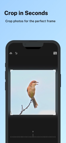 Video to Photo – Frame Capture iPhone screenshot
