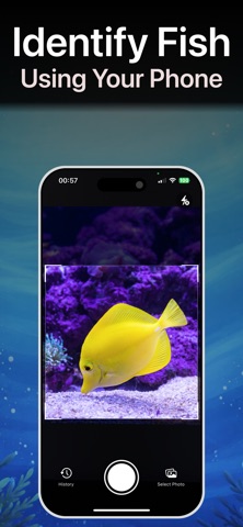 Fish Identifier: Oriva screenshot