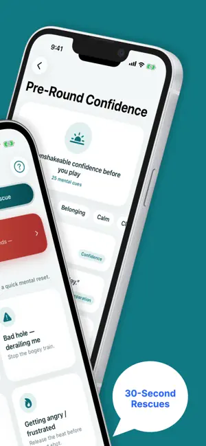 ZenCaddie screenshot 2