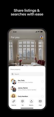 The Bracha Group screenshot