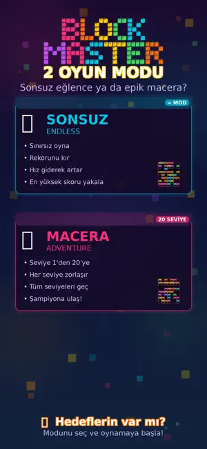 BLOCK MASTER GAME screenshot 1